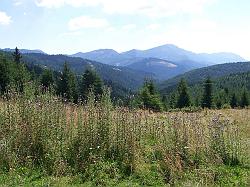gyergyo2008_009