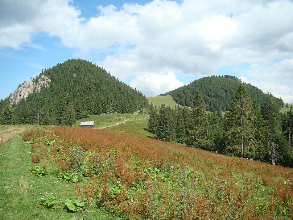 dsc04843