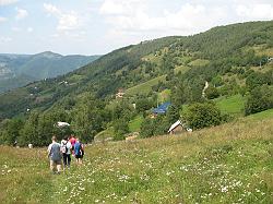 hidegszamos_298