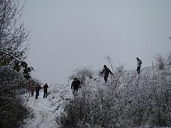 DSC09981