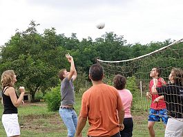 p_8040128
