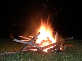 p_8050394
